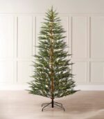 Northlight 50-Count Warm White LED - Görsel 4